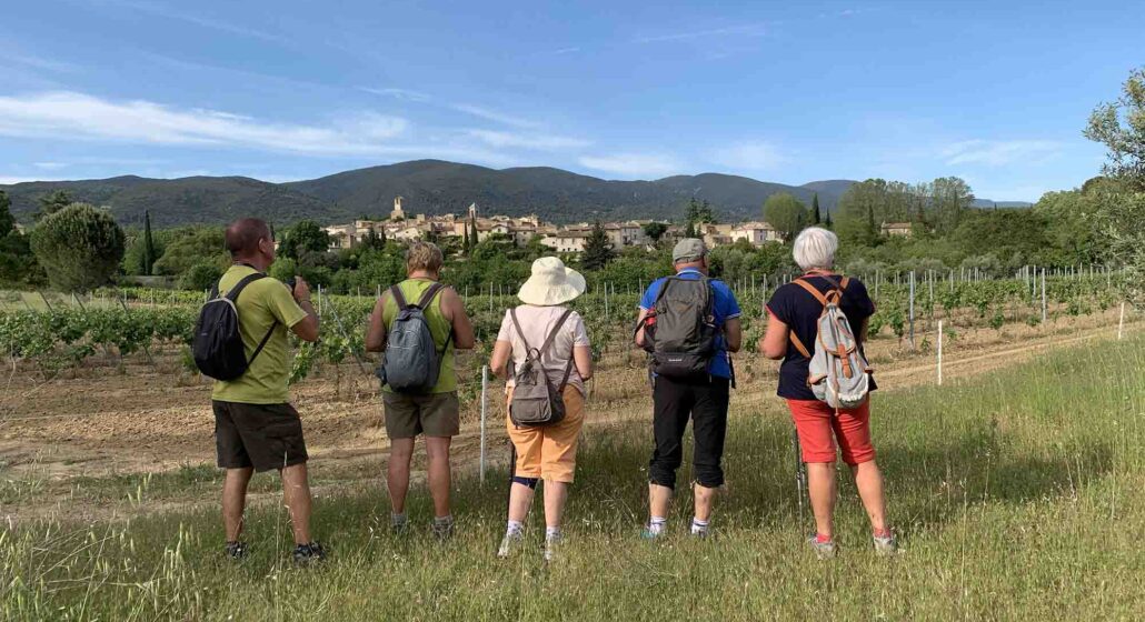 Entre bastide et château, balade au pays de l’huile d’olive à La Bastide du Laval à Cadenet